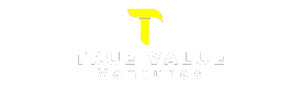 True Value Ventures